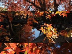 -颐和园