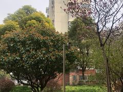 -君莲新城中城苑