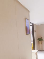 -广东韩妃整形外科医院
