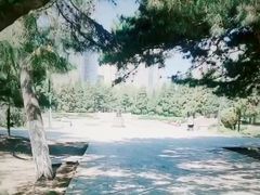-沈阳中山公园