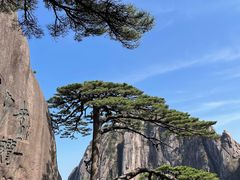 -黄山风景区
