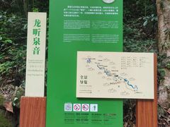 -莫里热带雨林景区
