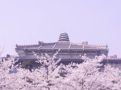 -武汉大学-樱园