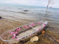 -青海湖国家重点风景名胜区