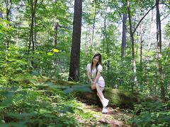 -五营红松林海景区