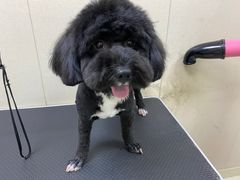 -艾贝尔宠物医院(华府骏苑店)