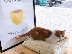 -W Coffee(船板巷店)