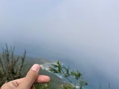 -海南铜鼓岭景区