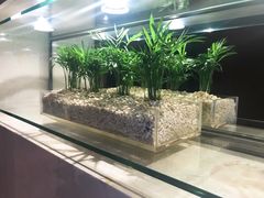 -广州天河希尔顿酒店