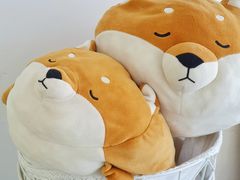 -五进制 Coffee Shop