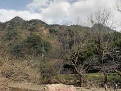 -水墨汀溪风景区