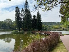 -南宁荔园维景国际大酒店·荔园中餐厅