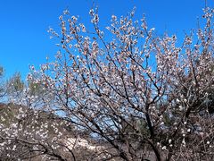 -北京凤凰岭