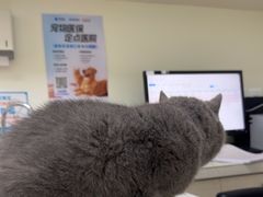 -美联众合24小时·皮肤科·外科·全科诊疗中心(华苑分院)