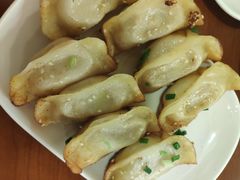 鲜肉锅贴-小姜锅贴(凤凰街店)
