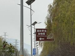 -西安秦岭野生动物园