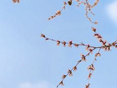 -三里河公园