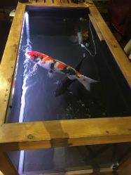 点击看大图 -鳌首刺青纹身 穿孔饰品店