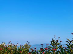 -深圳湾公园(南山区)