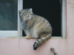 -青藏高原野生动物园