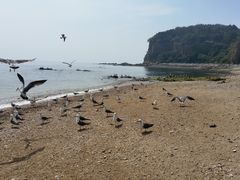 -棒棰岛宾馆景区