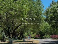 -永定河休闲森林公园