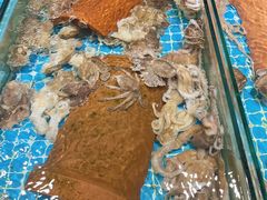 -日照海滨国家森林公园