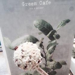 -悦诗风吟innisfree