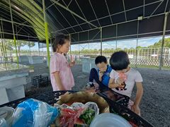 -明珠湖天鹅苑·农家菜馆