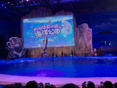 -华夏文旅海洋公园