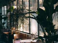 大堂-腾爱熊猫咖啡生活馆(老东门店)