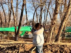 -乌素图国家森林公园