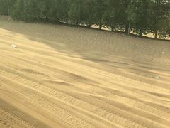 -迪拜沙漠冲沙