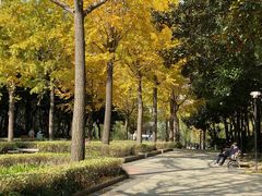 -苏州河梦清园环保主题公园