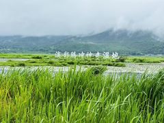 -腾冲北海湿地