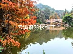 -云溪植物园