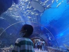 -华夏文旅海洋公园