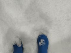 -Mr·Kuma酷么先生雪之乐园