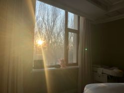 -皇家月府月子中心(沈阳店)