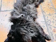 -雕刻时光·咖啡·酒吧·西餐(香山店)