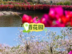 -广州莲花山旅游区