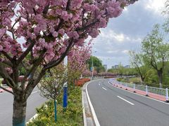 -狮麟驾校