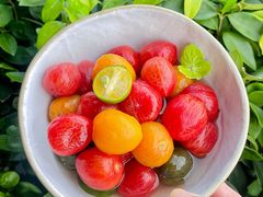 -汉水谣·江景餐厅(江滩店)