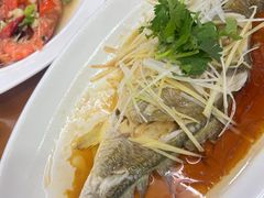 -望海潮海鲜店 特色家常菜(在海一方店)