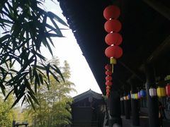 -大唐贡茶院