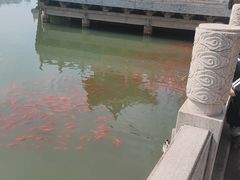 -迎泽公园