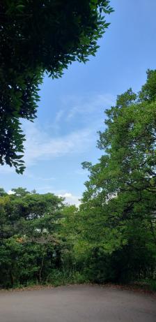 薄扶林郊野公园-"趁连续四日假期,选了一天去行港岛径,由薄.