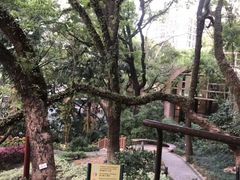 -香港大学