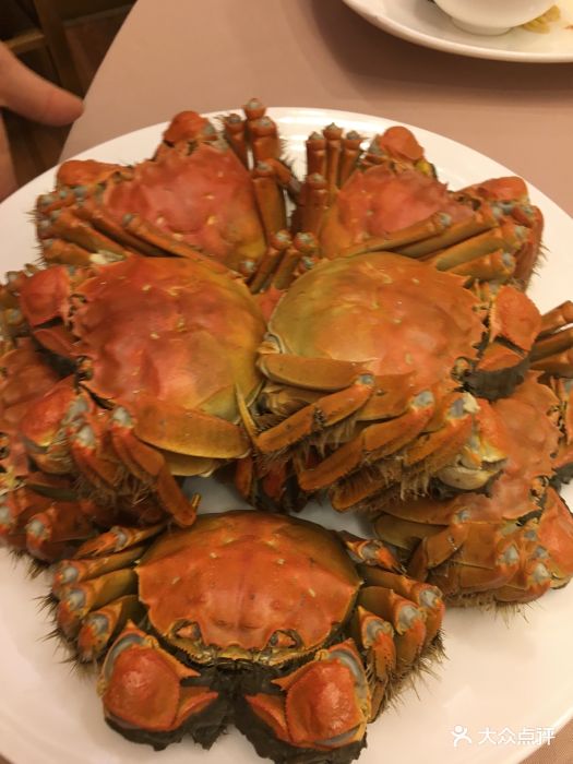 王宝和酒家大闸蟹图片 - 第4958张