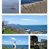 🌊小樽市小众打卡地~朝里🚞